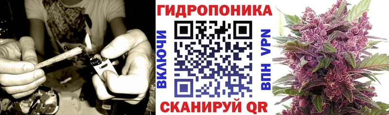 Купить закладку Сосногорск COCAIN  А ПВП  Каннабис  НБОМе  Меф мяу мяу  Галлюциногенные грибы 