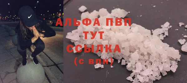 ГАЛЛЮЦИНОГЕННЫЕ ГРИБЫ Сосновый Бор