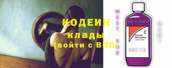 спиды Богородицк