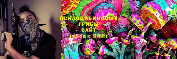 МДПВ Белокуриха