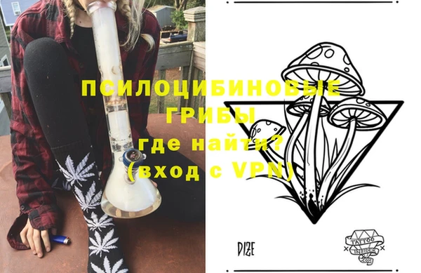 спиды Богородицк