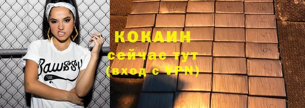 спиды Богородицк