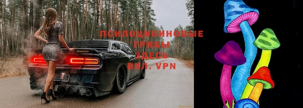 МДПВ Белокуриха